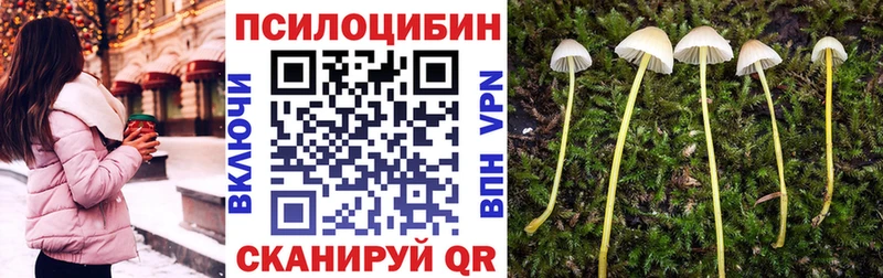 Галлюциногенные грибы мицелий  где купить   Цимлянск 